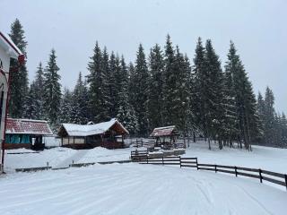 Panoramic Apuseni Doda Pilii - 3