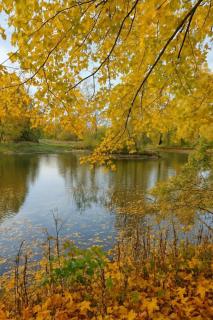 Les Landes de Bruyères - 8