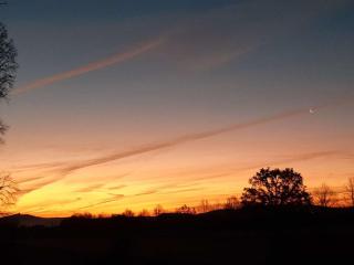 La Locanda della Mandria 2 - 5