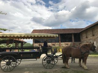 La Locanda della Mandria 2 - 6