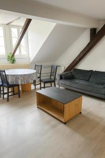 Grand appartement central 6p - 4