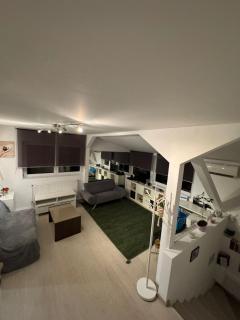 Bucharest Residence - 4