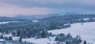 Mountain View Apartament Termy Chochołowskie 5 min - 3