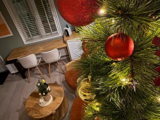 Villa Hop Zandvoort - 6