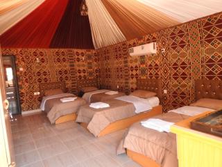 Wadi Rum Wanderer cmap - 8