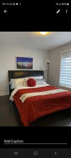 Living the dream - 7