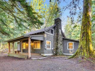 Lolo Bear Cabin Rustic Pets OK Mt Hood retreat - 0
