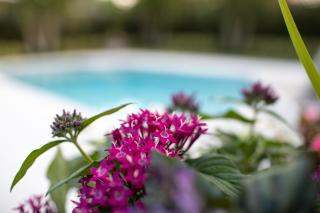 Naples Beach Retreat Bike to Beach! 4 Bed 2 Bath - 6