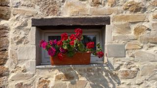 Gîte la Tanière classé 3 étoiles avec terrasse et piscine - 3