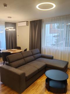 Alpine Escape Design apartment Detelina Residence - 9