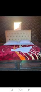 Um sabatah camp - Wadi Rum - 8