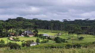 Yad elohai pousada israelense - 3