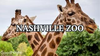 The Saddlery - Mic Drop - Walk to Broadway - 1