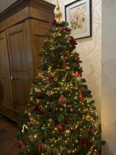 La Belle Échappée à Fléron -  - 9