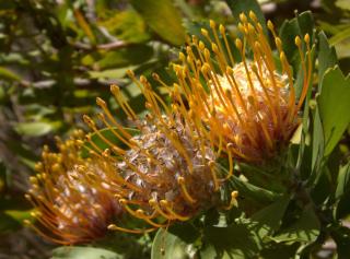 Mountain Serenity - 4