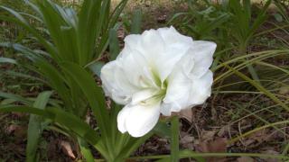 Mountain Serenity - 5