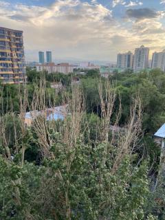 Однокомнатная квартира в ЖК Palladium, на 9 этаже с видом на город - 6