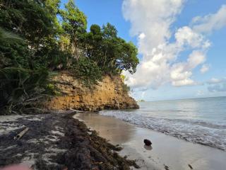 Le Balisier, your pied-à-terre in Le Gosier - 4