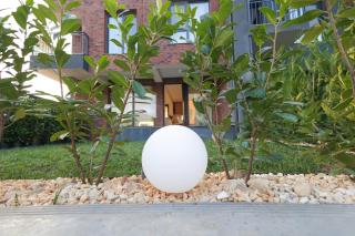 Luxury villa Tunari - 9