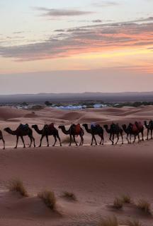 voyageur m'hamid Ghislaine - 8