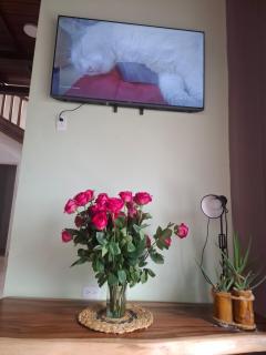 Castelnuovo villa del mar - 7