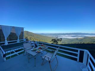 Memory House ภูชี้ฟ้า เชียงราย - 9