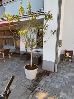 Ferienhaus Sunnseitn - 3