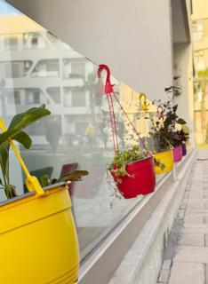 Garden paradis bouznika - 9