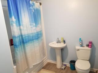 1 bedroom studio in Newtown close to major routes - 8