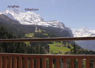 Chalet Baba Wengen Apartment LISA - 1