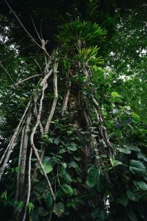 Posada Nativa sol y mar - 9