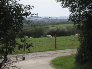 Woodside Cottages - Beech cottage - Self-catering - 5