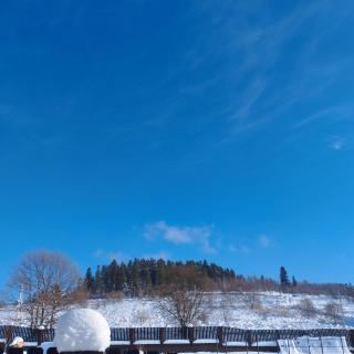 Перлина Карпат - 8