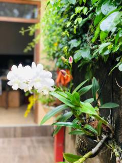 Garden View Mirissa - Mirissa - 1