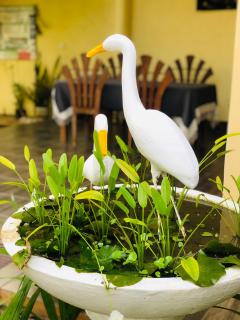 Garden View Mirissa - Mirissa - 3