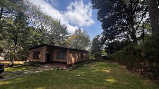 El Susurro del Bosque - 9