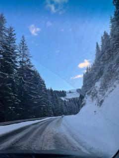 Ski and relax apartment - Voineasa - 8