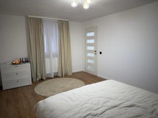 Ski and relax apartment - Voineasa - 4