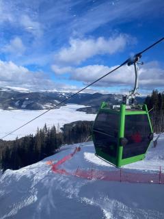 Ski and relax apartment - Voineasa - 2