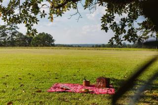 Expansive 85 Acre Villa with Pool and Fire Pit - Blocker - 5