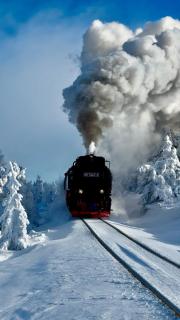 Ferienhaus Isabel mit Pool und Garten Nähe Quedlinburg - 2