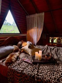 Cabaña Caballo Dorado - 9