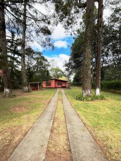 El Susurro del Bosque - 6