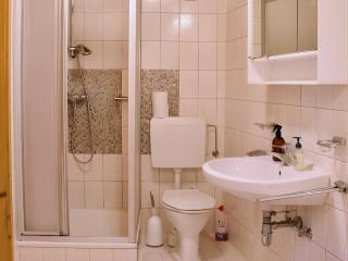 Salzkammergut Homes Gmunden - Haus am Fluss, ruhige zentrale Lage, Waldblick - ideal für Familien und Ruhe Suchende - 5