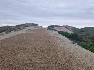 Family-friendly Haven with Pool - By Traum Ferienwohnungen - 6