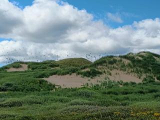 6 person holiday home in Ulfborg-By Traum - 1