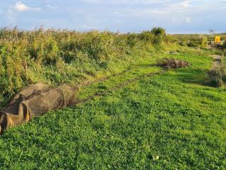 6 person holiday home in Ulfborg-By Traum - 6