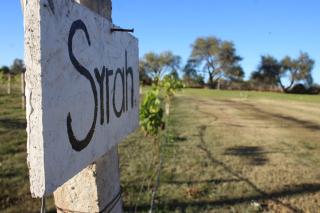 Cabañas Hacienda de Letras - 1