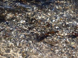 Seaside Charm in Binderup-By Traum - 9