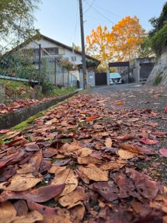 GREEN ViLLA南大阪 - 7